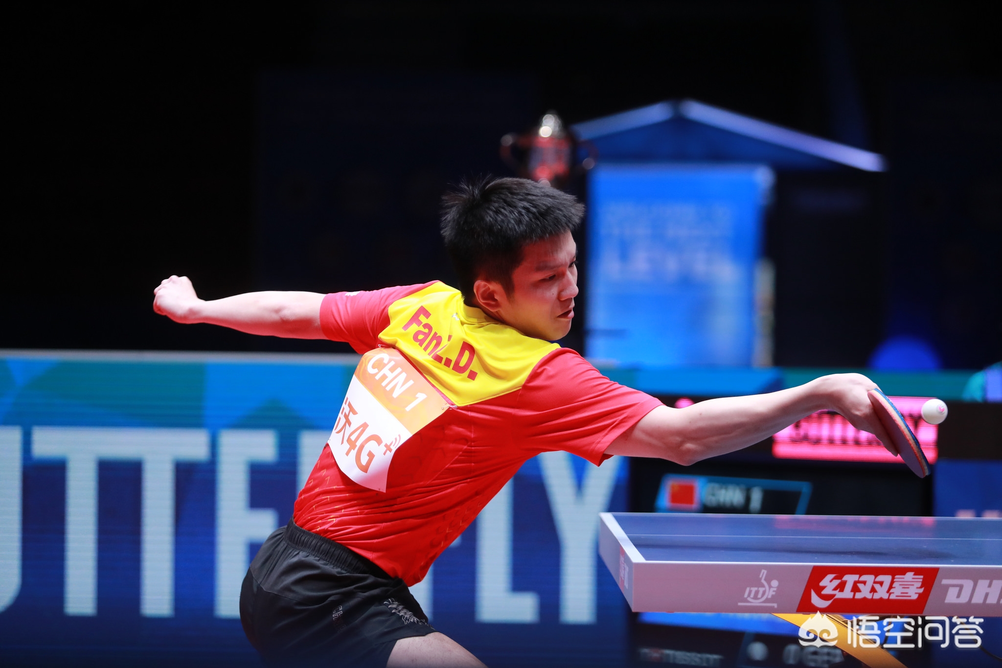 这位新星不 这位新星不