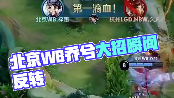 不同风格的 不同风格的