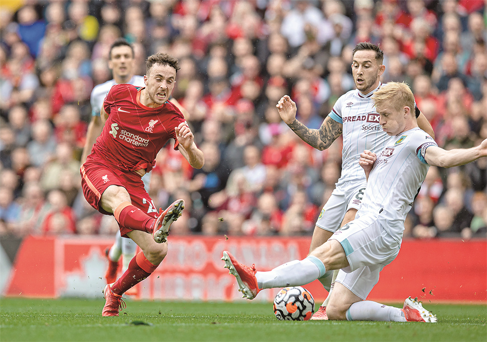 近景合照 近景合照