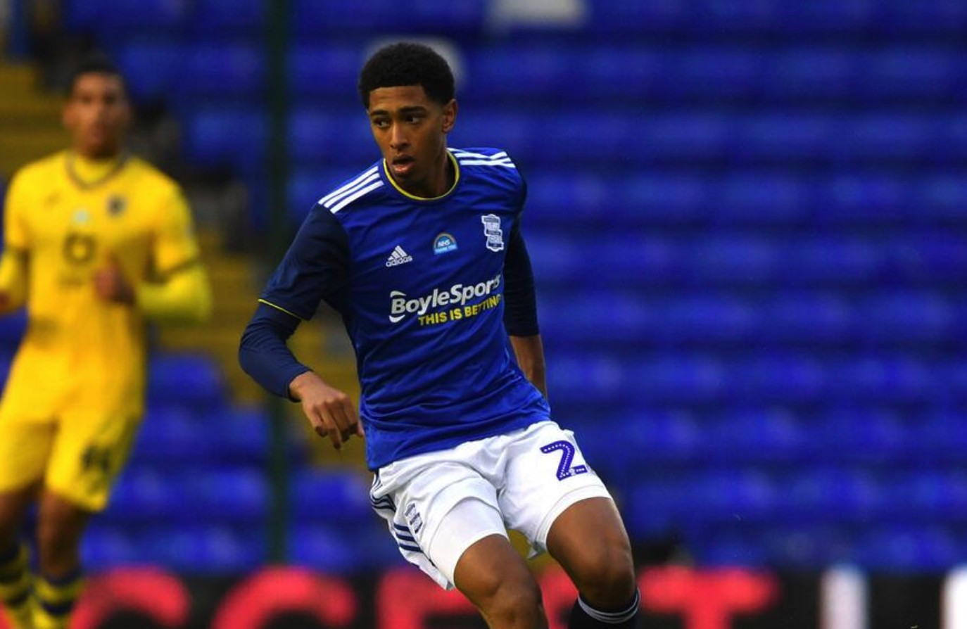 意味着组织 意味着组织